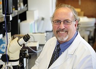 Daryl L. Davies
