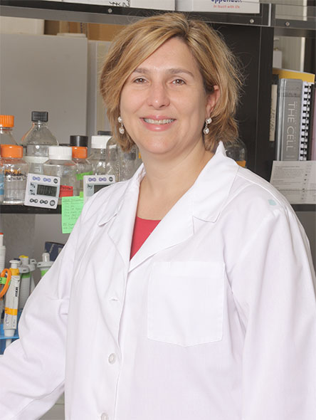 Sarah F. Hamm-Alvarez