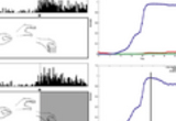 Modeling mirror neuron response to grasps when the object is or is not present, has or has not been recently seen