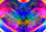 Brain Connectivity