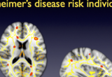 Differences in white matter integrity in normal older adults vs. mild cognitive impairment individuals using diffusion tensor imaging measures of fractional anisotropy.