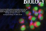 Doetzlhofer, A., White, P.M., Johnson, J.E., Segil, N., and Groves, A.K. (2004). In vitro growth and differentiation of mammalian sensory hair cell progenitors: a requirement for EGF and periotic mesenchyme. Developmental Biology, 272:432–447.