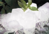 Identification of a cold and menthol receptor reveals a general role for TRP channels in thermosensation.